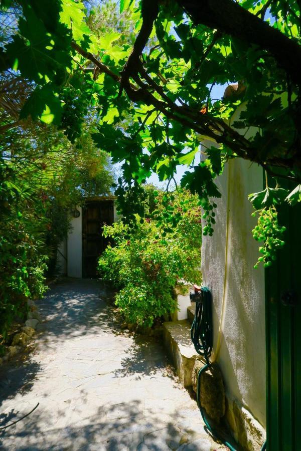 Cortijo Paraiso Charcon Higuera Eksteriør billede